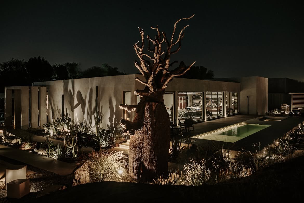The baobab lit after dark